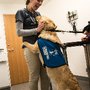 Photo of Beechwood Veterinary Hospital