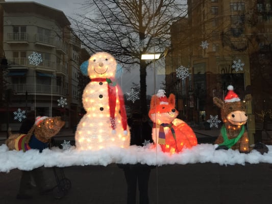 Village at Shirlington by null