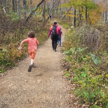 Hawksbill Trail - Child #1 running to keep up with everyone else! - Hiking Near Me - Luray, Virginia Hawksbill Trail - Child #1 running to keep up with everyone else! - Hiking Near Me - Luray, Virginia