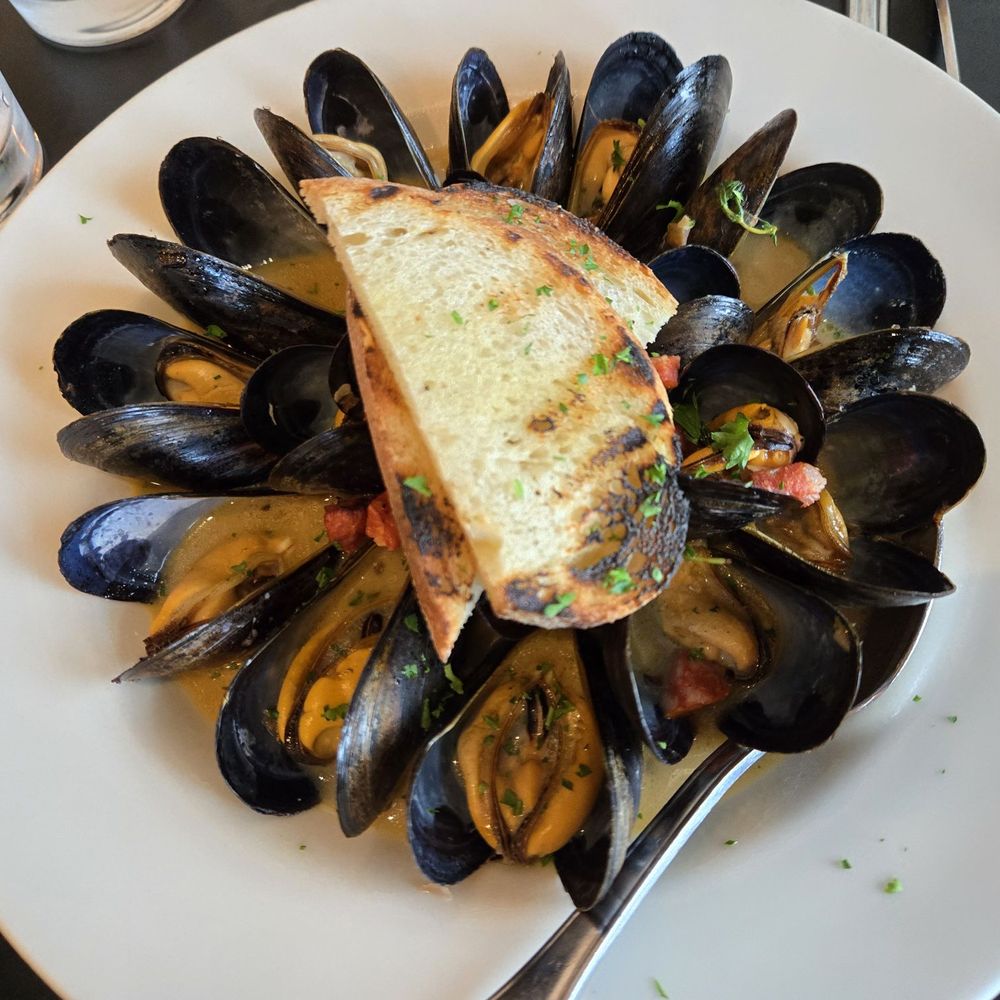 Sbicca Del Mar - Mussels..meh did not look fresh or local - Wine Bars Near Me - Del Mar, California Sbicca Del Mar - Mussels..meh did not look fresh or local - Wine Bars Near Me - Del Mar, California