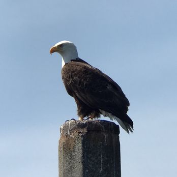 Outer Island Expeditions - Fishing Near Me - Eastsound, Washington
