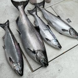 High Life Charters