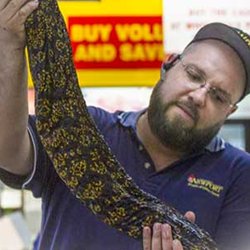 Newport Fish Importers