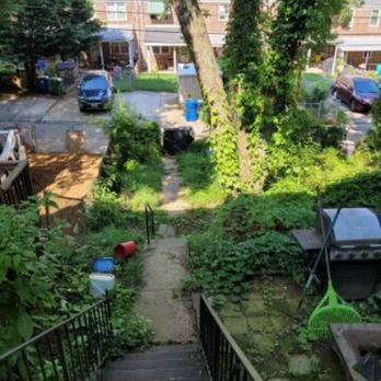 Nick & Sons - a view of the back yard of a house - Lawn Services Near Me