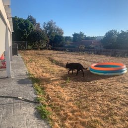 Old grass/weed area