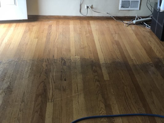 Carpet/ Hardwood Floor Cleaning and Water Damage - We offer Carpet/ Upholstery Cleaning, Hardwood Floor Cleaning, Tile/Grout Cleaning and Water Damage, we are a 24/7 Cleaning Restoration Co that prides ourselves on quality, hard work and dedication