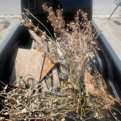 Smash & Carry - All the trash that need to be thrown