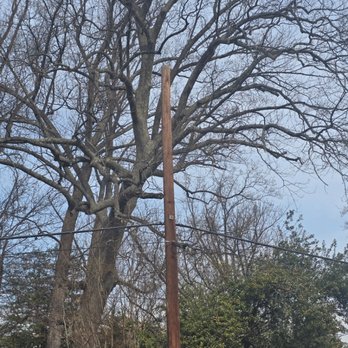 Luna Tree & Landscape Service - Tree Services Near Me - Orange, Virginia Luna Tree & Landscape Service - Tree Services Near Me - Orange, Virginia