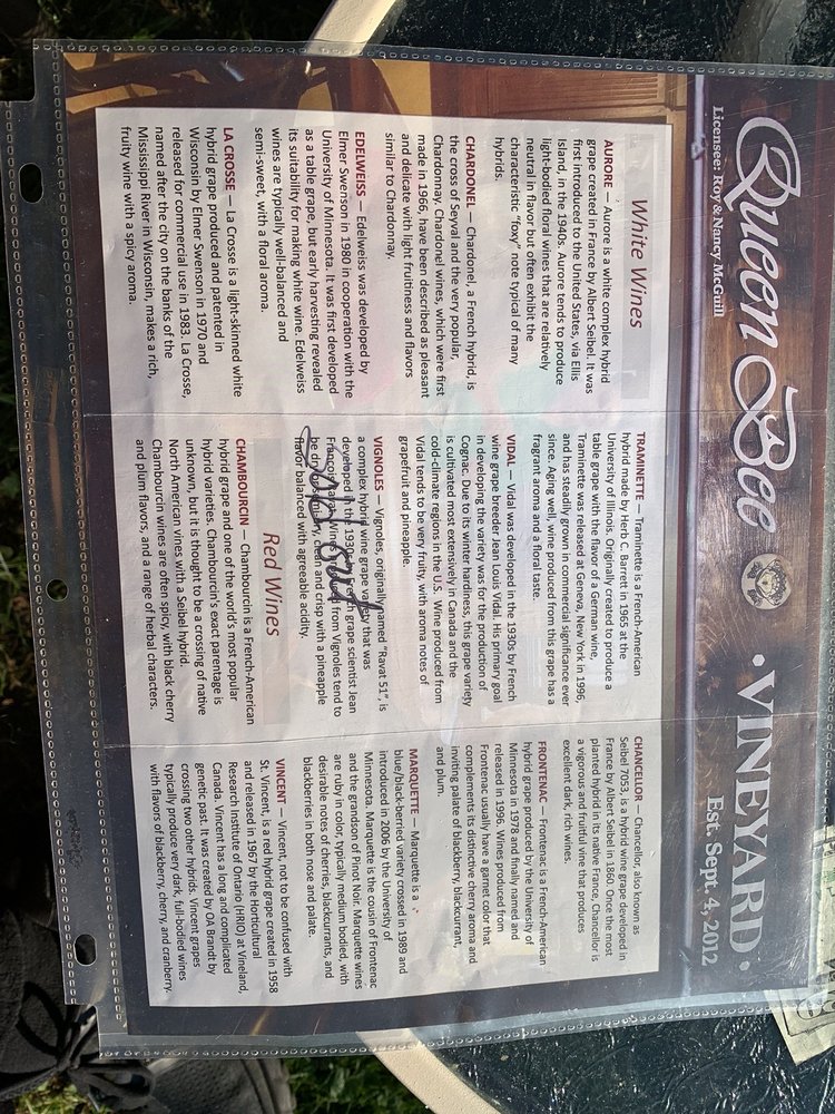 queen bee Vineyard - vineyard in Monson, MA