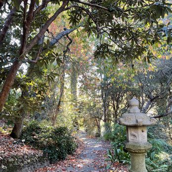 UC Botanical Garden at Berkeley - Botanical Gardens Near Me - Berkeley, California