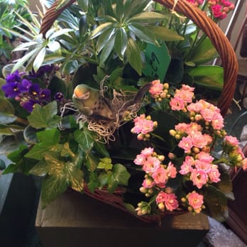King's Flowers - Florists Near Me - Fullerton, California King's Flowers - Florists Near Me - Fullerton, California