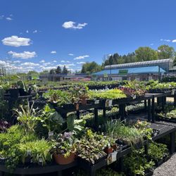 Primex Garden Center - The options are endless