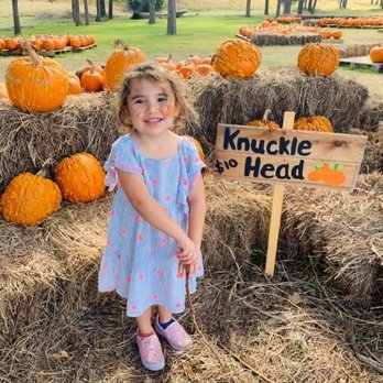 Bulverde Pumpkin Patch - Pumpkin Patches Near Me - Bulverde, Texas
