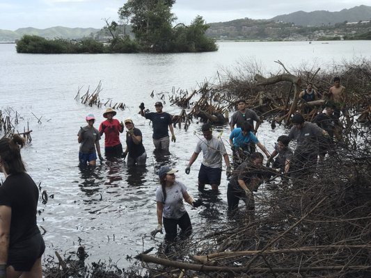 Paepae o He'eia by null