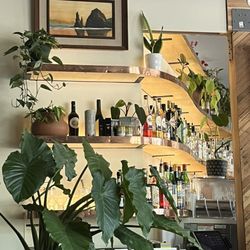 Bruno's - Bar, plants, art