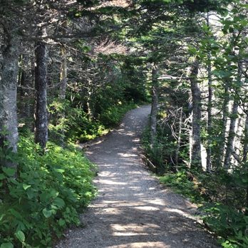 Quoddy Head State Park - Hiking Near Me - Lubec, Maine Quoddy Head State Park - Hiking Near Me - Lubec, Maine