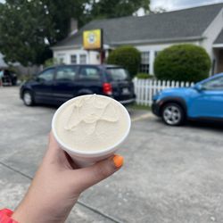 Counter Culture Frozen Yogurt - Toasted Coconut Frozen Yogurt (baby size)