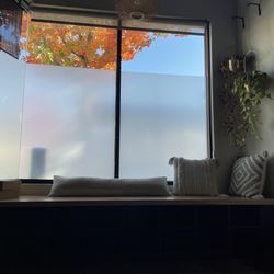 View from inside the studio