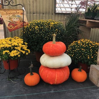 JonBoy's Plant Paradise - Simpson Greenhouse - Nurseries & Gardening Near Me - Ovid, Michigan