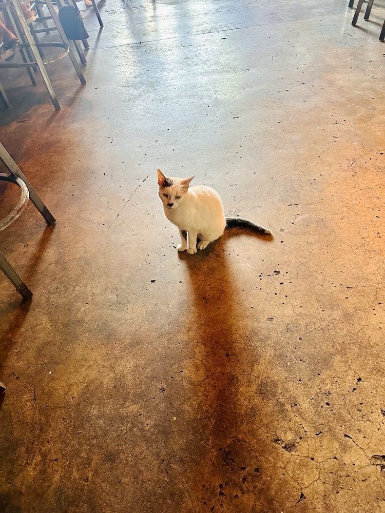 Crooked Thumb Brewery Image