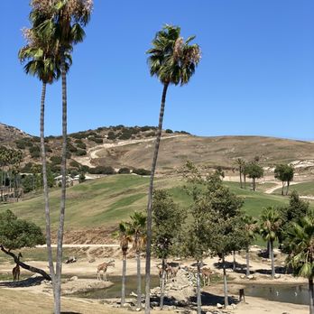 Watering Hole - Gorgeous view from the restaurant! - American Near Me - Escondido, California