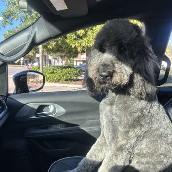 Pooch Pawlor Spa - Pet Groomers Near Me - Glendale, California