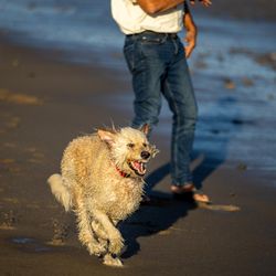 Ventura State Beach