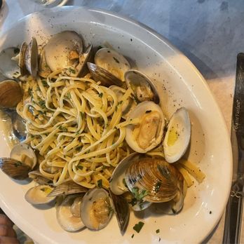 Mangia - Linguine Vongole - Italian Near Me - Orlando, Florida Mangia - Linguine Vongole - Italian Near Me - Orlando, Florida