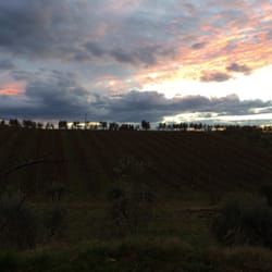 Tenuta del Palagio - Tuscan landscape from the winery