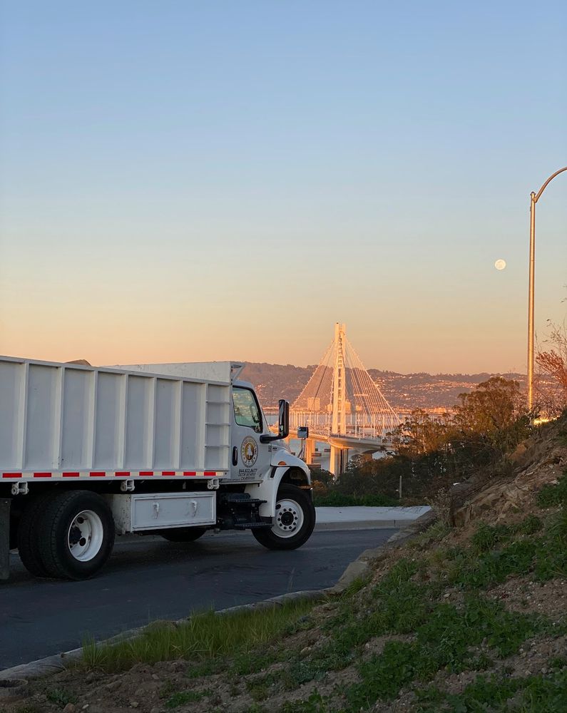 J.T.S Tree Expert, Inc - tree service in Fremont, CA