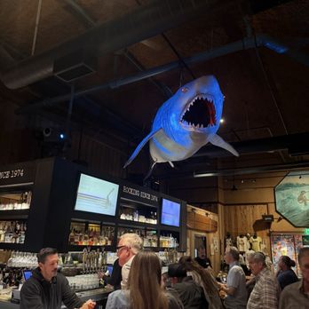 Belly Up Tavern - Bar Shark - Bars Near Me - Solana Beach, California Belly Up Tavern - Bar Shark - Bars Near Me - Solana Beach, California