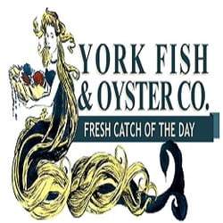 York Fish & Oyster