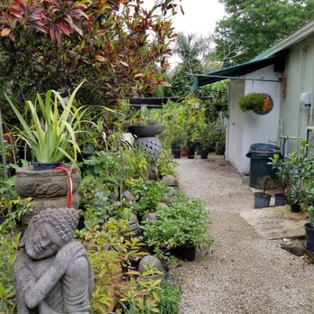 Zensations Garden - Nurseries & Gardening Near Me - Davie, Florida