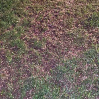 Tomlinson Bomberger Lawn Care & Landscape - Main part of yard - Landscaping Near Me - Lancaster, Pennsylvania