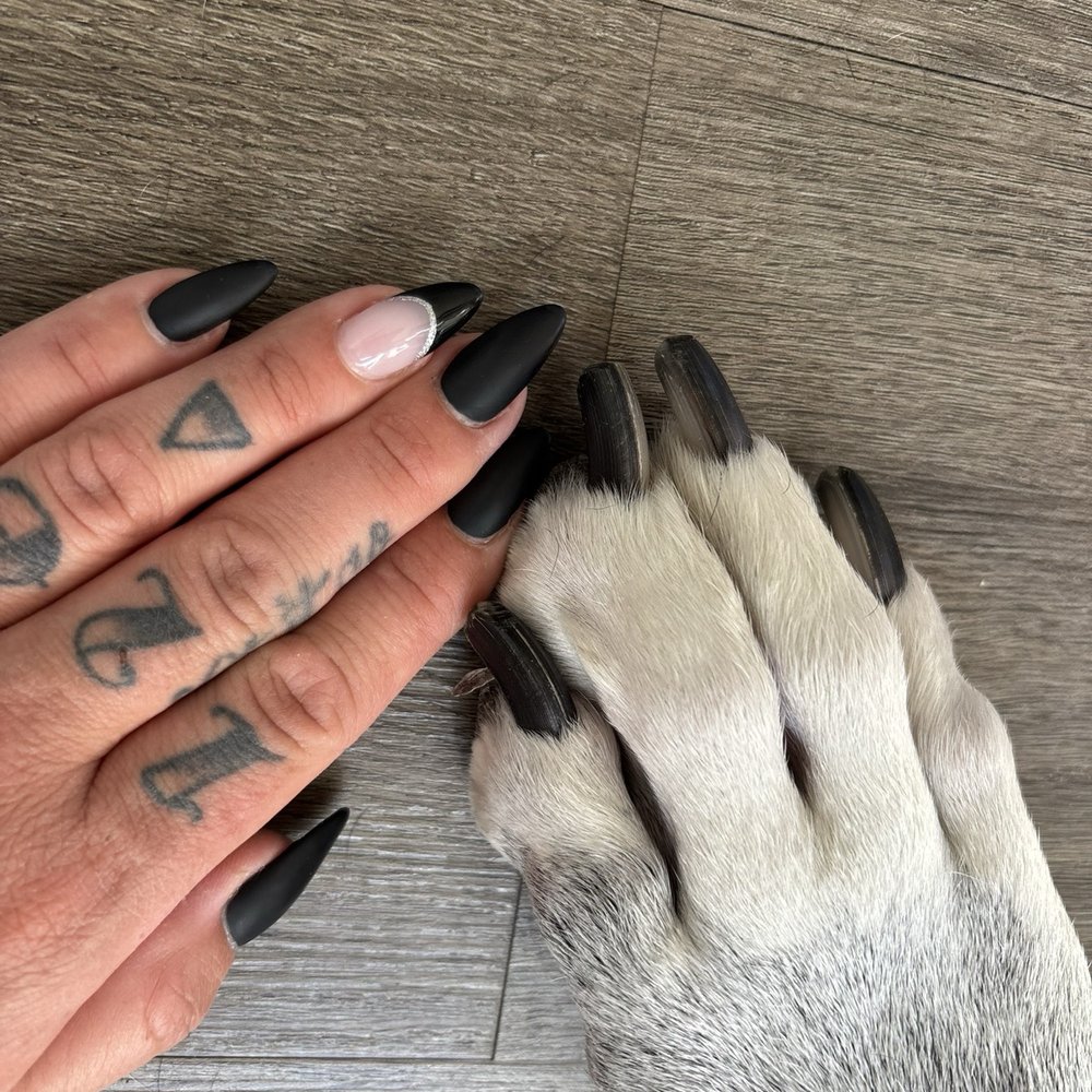 Tulip's Nail Salon - Amazing flat black with party nail - Nail Salons Near Me - Seattle, Washington Tulip's Nail Salon - Amazing flat black with party nail - Nail Salons Near Me - Seattle, Washington
