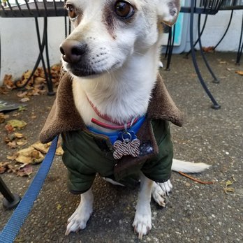 Hotwire Coffeehouse - Booker T Little - Coffee & Tea Near Me - Seattle, Washington