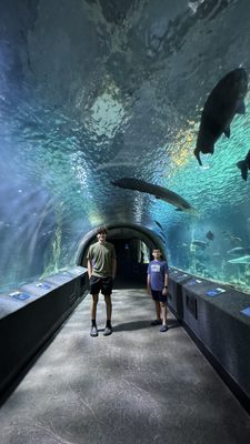 Newport Aquarium by null