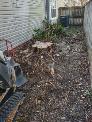 Stump Removal - Here at Flatout Stump Grinding we specialize in hard to access stump and tree removal with four years experience. Fully insured stump removal, serving Pender New Hanover and Onslow counties. Providing the best service I can with the tools and talents God has blessed me with. Call 910-445-7060 . Stump Removal - Here at Flatout Stump Grinding we specialize in hard to access stump and tree removal with four years experience. Fully insured stump removal, serving Pender New Hanover and Onslow counties. Providing the best service I can with the tools and talents God has blessed me with. Call 910-445-7060 .