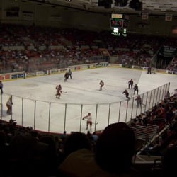 Oiler's Hockey