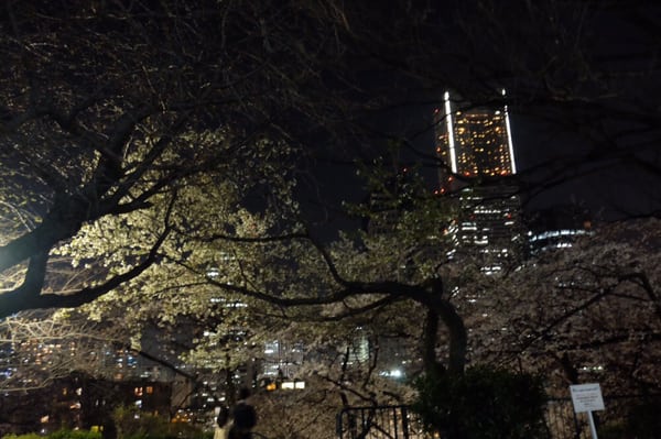 Kamon-yama Park by null