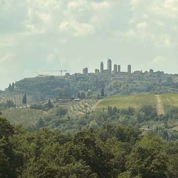 Walkabout - San Gimignano in the distance - Tours Near Me - Florence, FI
