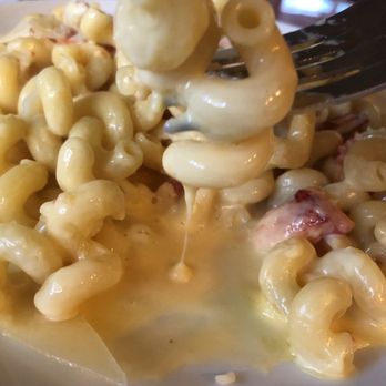 Green Turtle Inn - Lobster Mac and cheese! - Seafood Near Me - Islamorada, Florida Green Turtle Inn - Lobster Mac and cheese! - Seafood Near Me - Islamorada, Florida