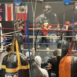 Team Alexis    Salinas  boxing club   Sparring session