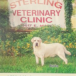 Sterling Veterinary Clinic
