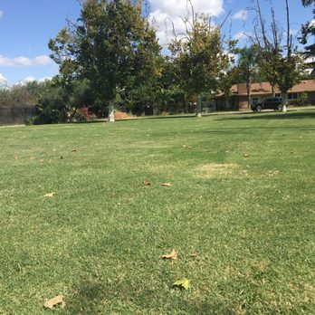 Swimming Pool Park - Big grassy area! - Swimming Pools Near Me - Madera, California