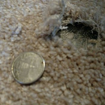 Empire Today - Carpet Installation Near Me Empire Today - Carpet Installation Near Me