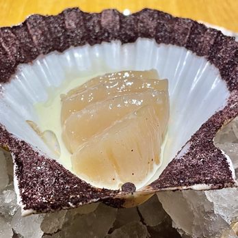 Noma - Hand Dived Scallop, Cream of Sencha Tea, Seaweed Oil - Modern European Near Me - København Noma - Hand Dived Scallop, Cream of Sencha Tea, Seaweed Oil - Modern European Near Me - København