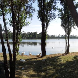 Bosque de Tláhuac - Lago del Bosque de Tláhuac.