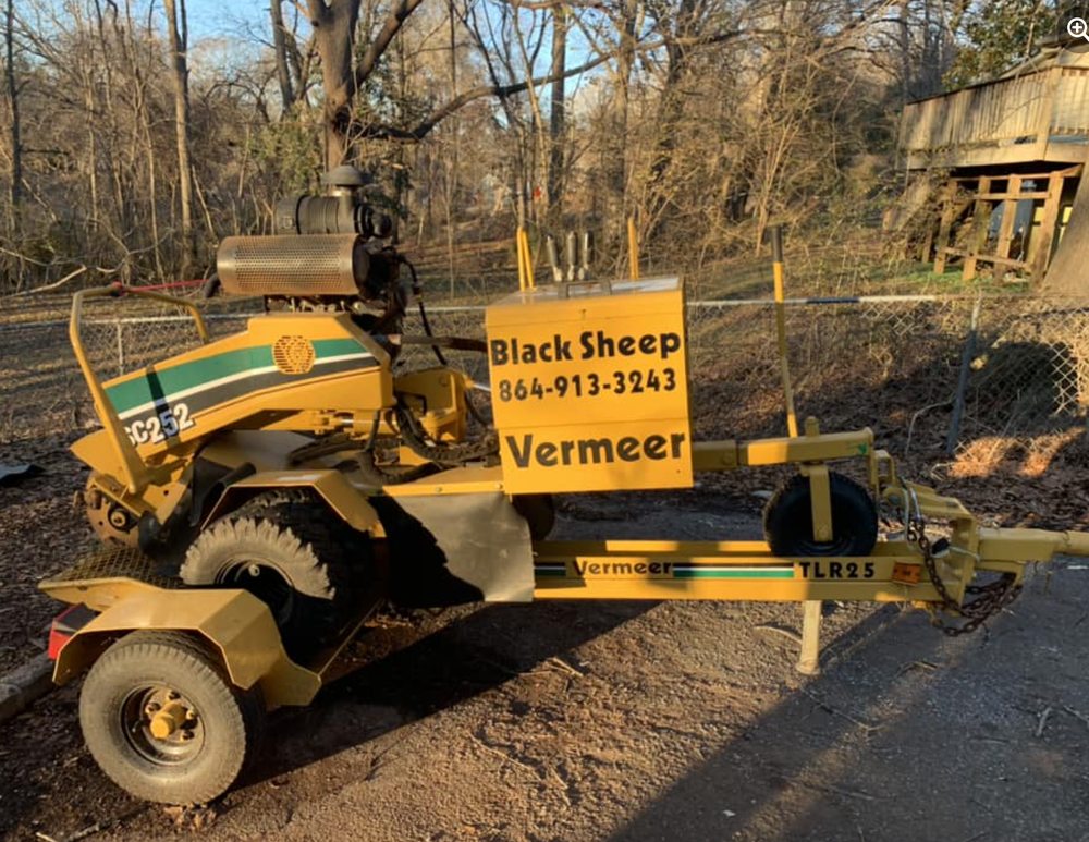 BLACK SHEEP STUMP & MORE 12 Photos Startex, South Carolina