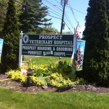 Prospect Veterinary Hospital - Veterinarians Near Me - Prospect, Connecticut